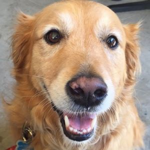 Meet your Posher, Kelsey